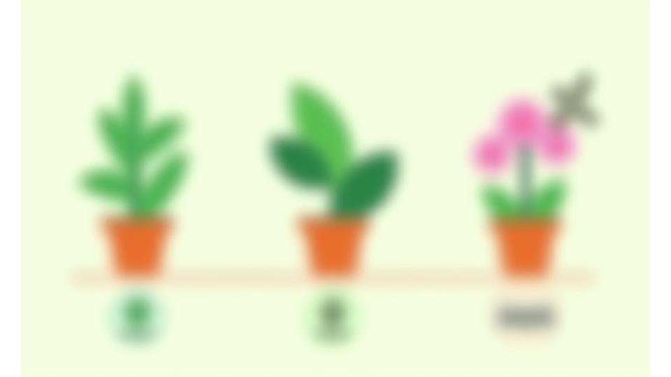 Ilustración de tres macetas con plantas, cada una con un icono que representa el nivel de dificultad: un brote joven para fácil, un árbol para intermedio y una flor exótica para experto.